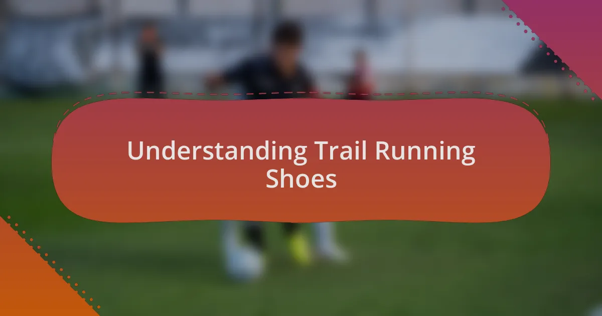 Understanding Trail Running Shoes