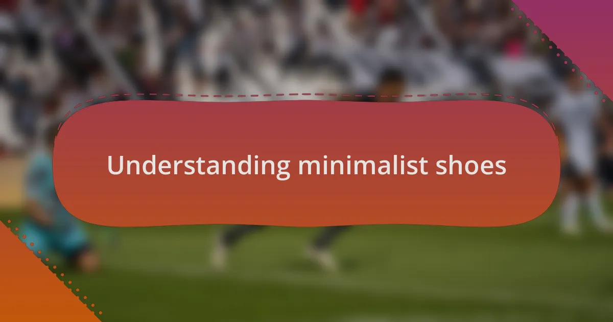 Understanding minimalist shoes